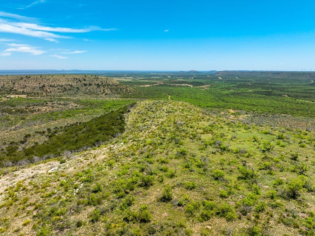 645 acres in Coke County gallery image 2