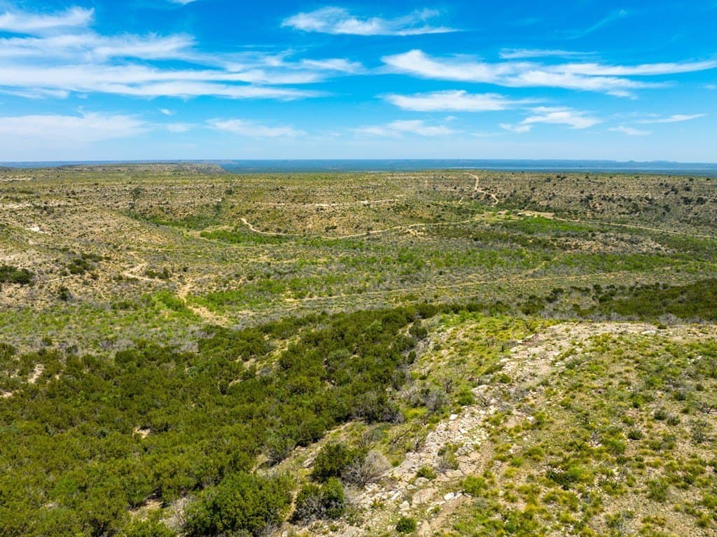 645 acres in Coke County gallery image 4