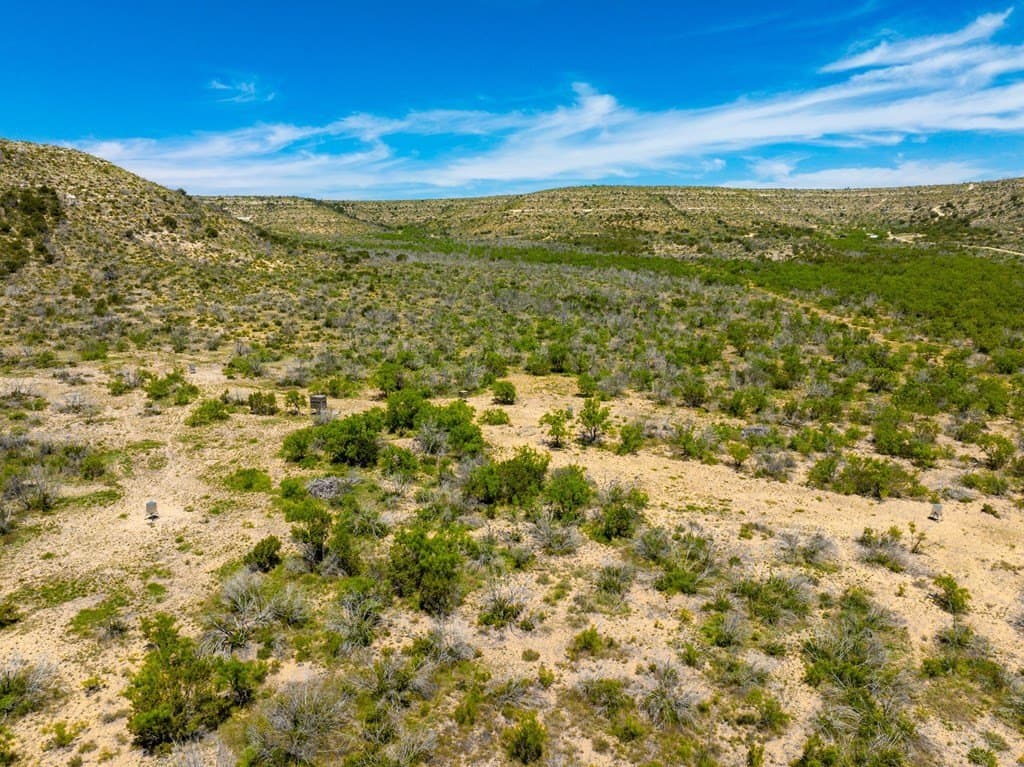 645 acres in Coke County featured view