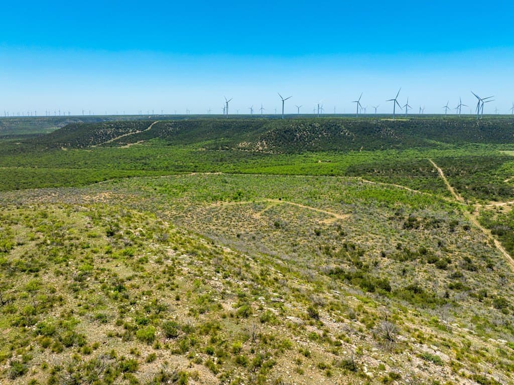 645 acres in Coke County gallery image 3