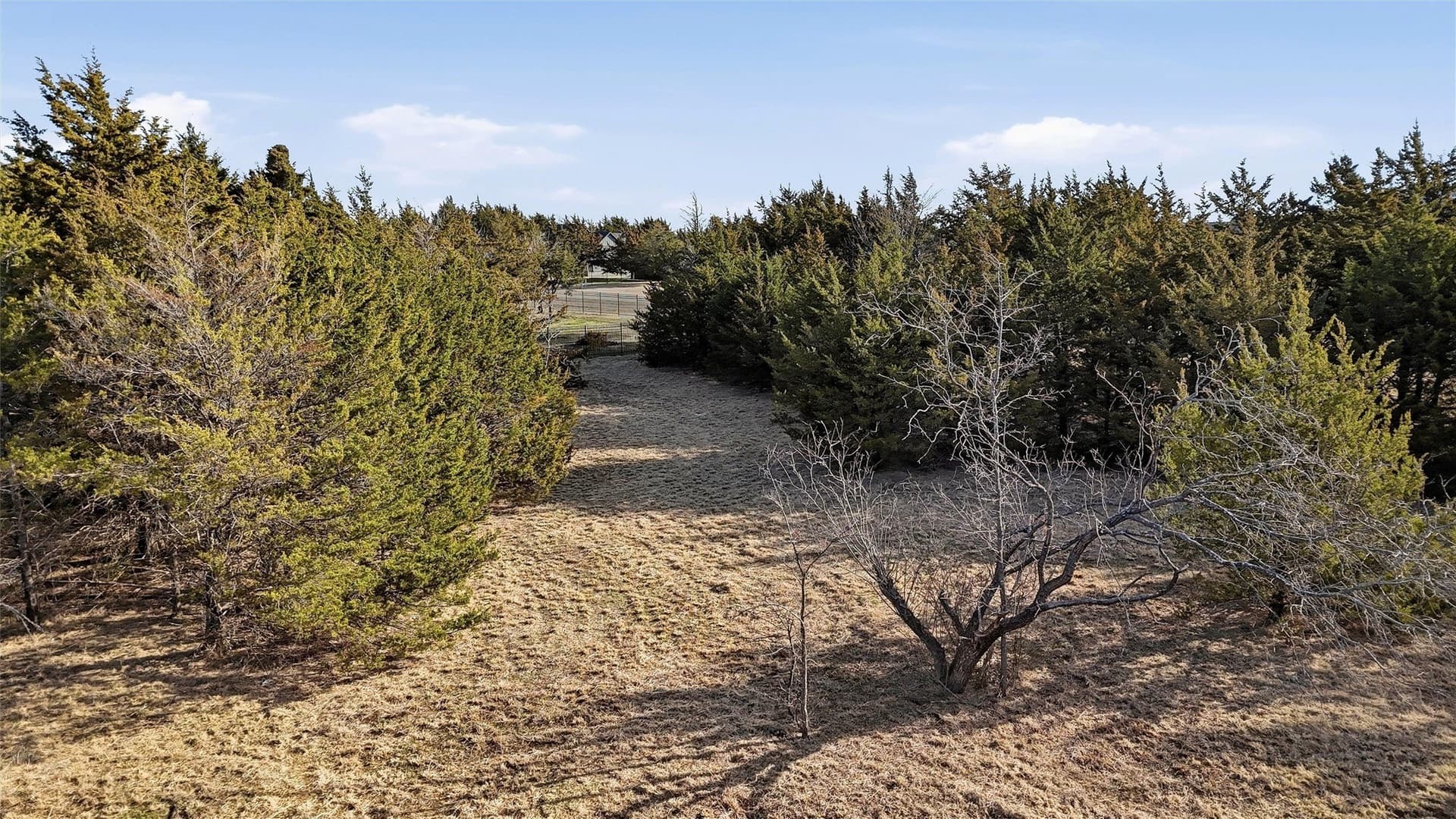 1 acres in Grayson County - photo 24