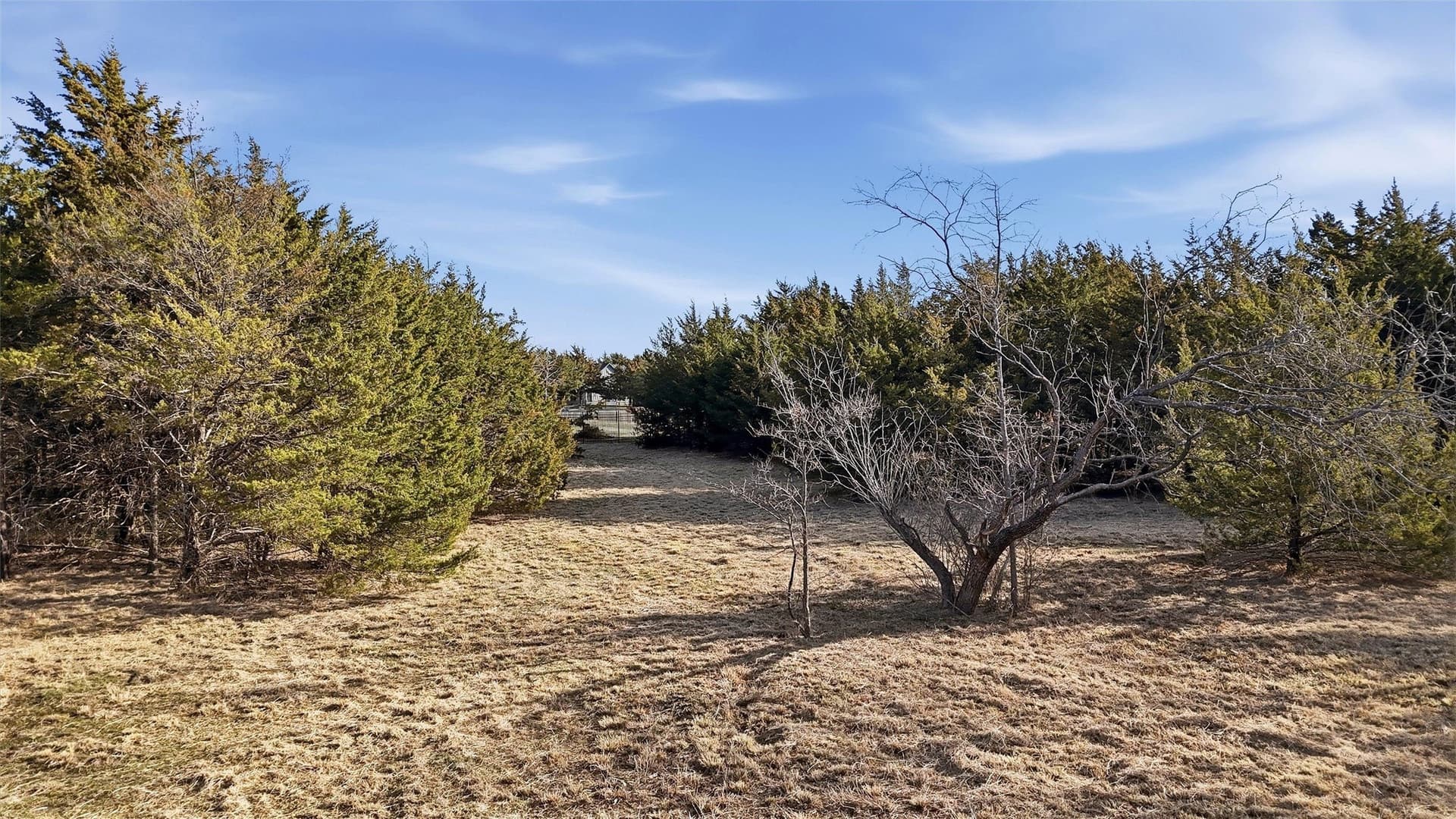 1 acres in Grayson County - photo 25