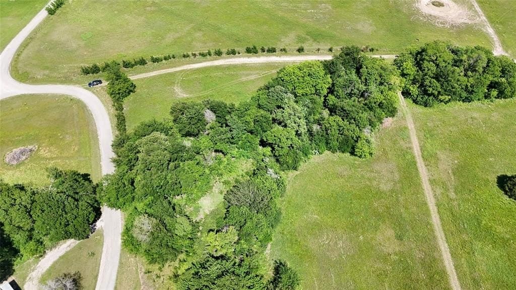 0.79 acres in Rains County gallery image 3