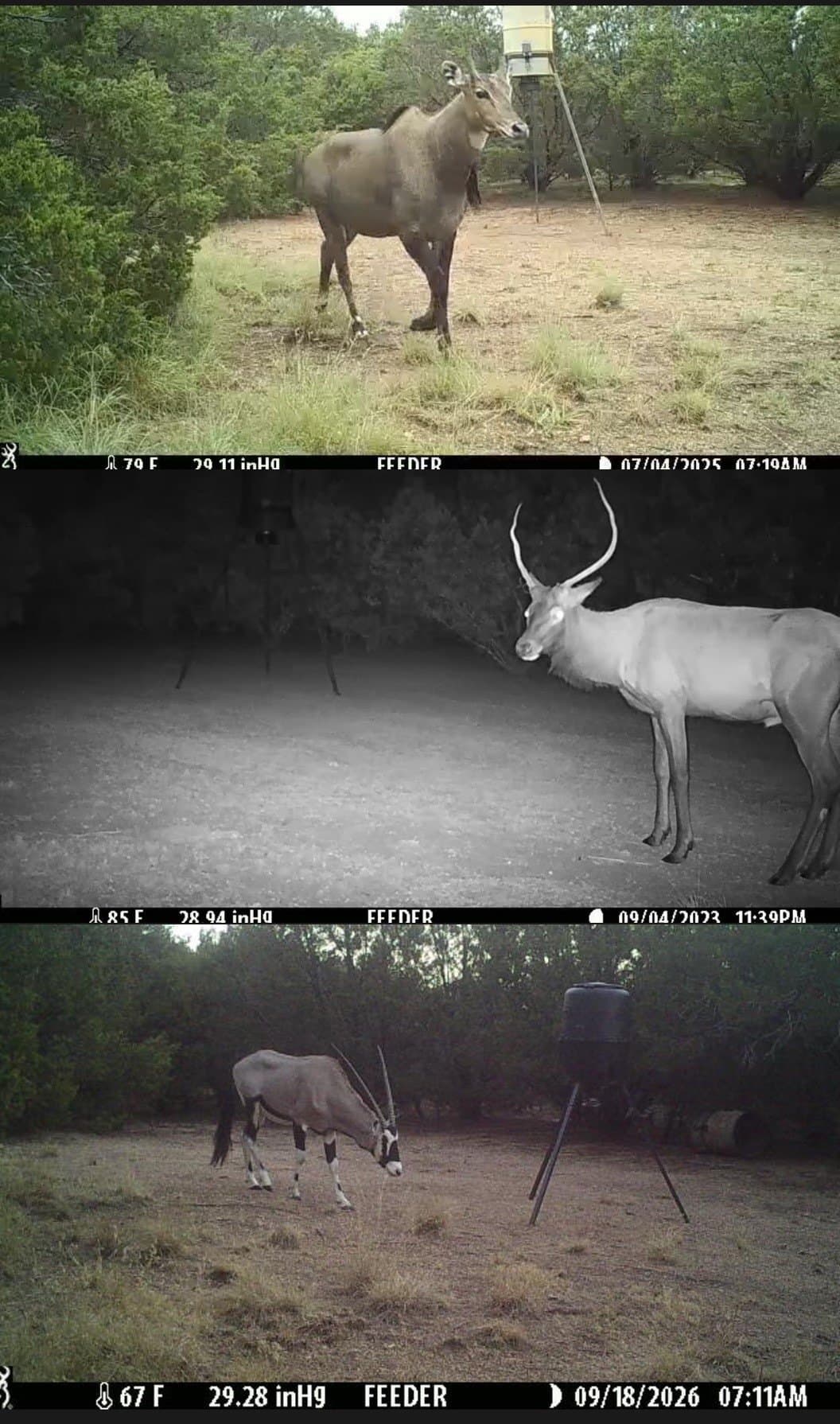 107.3 acres in Bosque County - photo 39