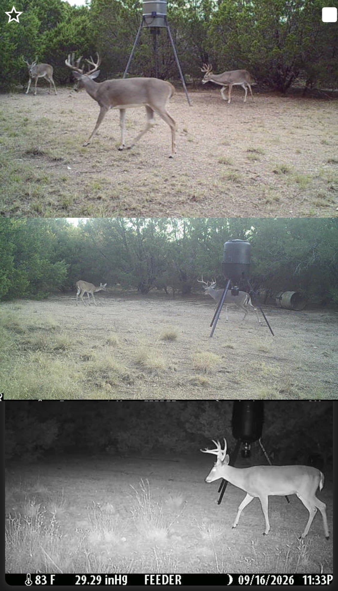 107.3 acres in Bosque County - photo 38