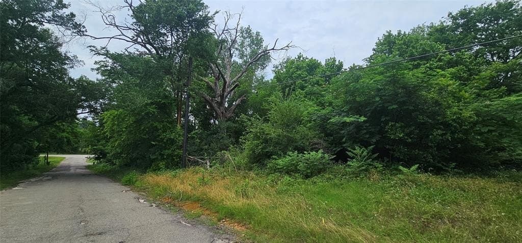 2.44 acres in Van Zandt County gallery image 4