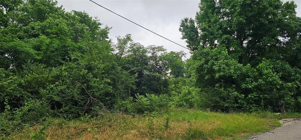 2.44 acres in Van Zandt County gallery image 2