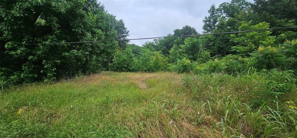2.44 acres in Van Zandt County gallery image 3