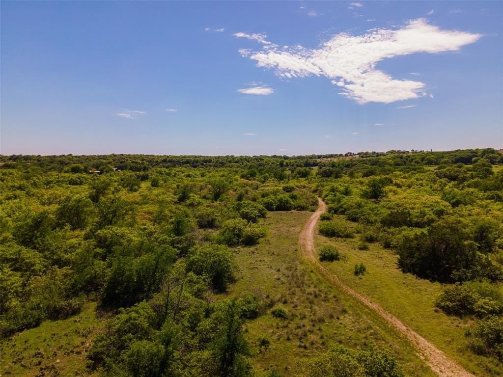 31.88 acres in Parker County gallery image 4