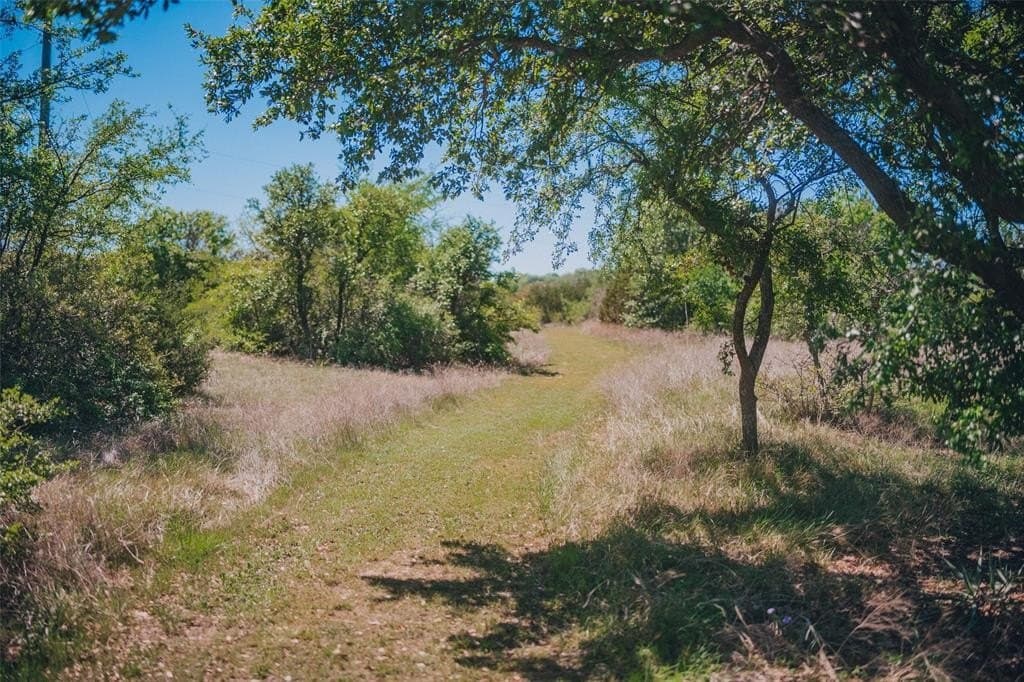 31.88 acres in Parker County featured view