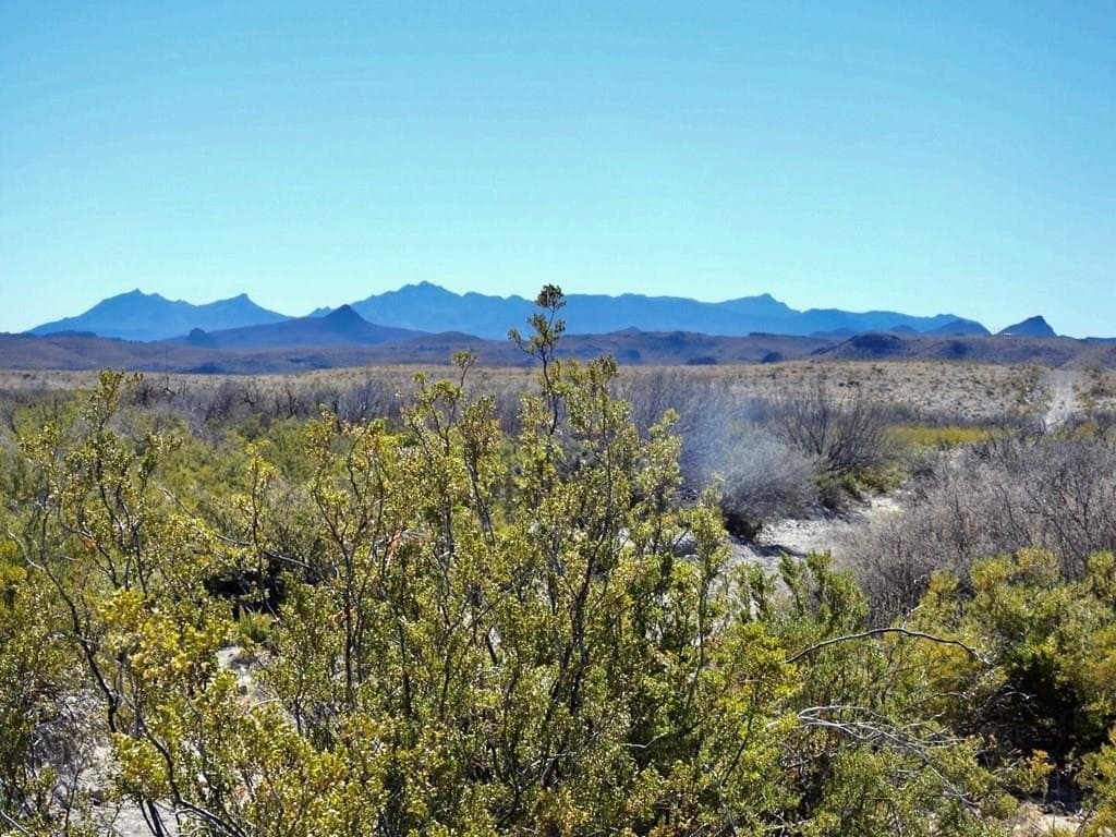 5 acres in Brewster County gallery image 2