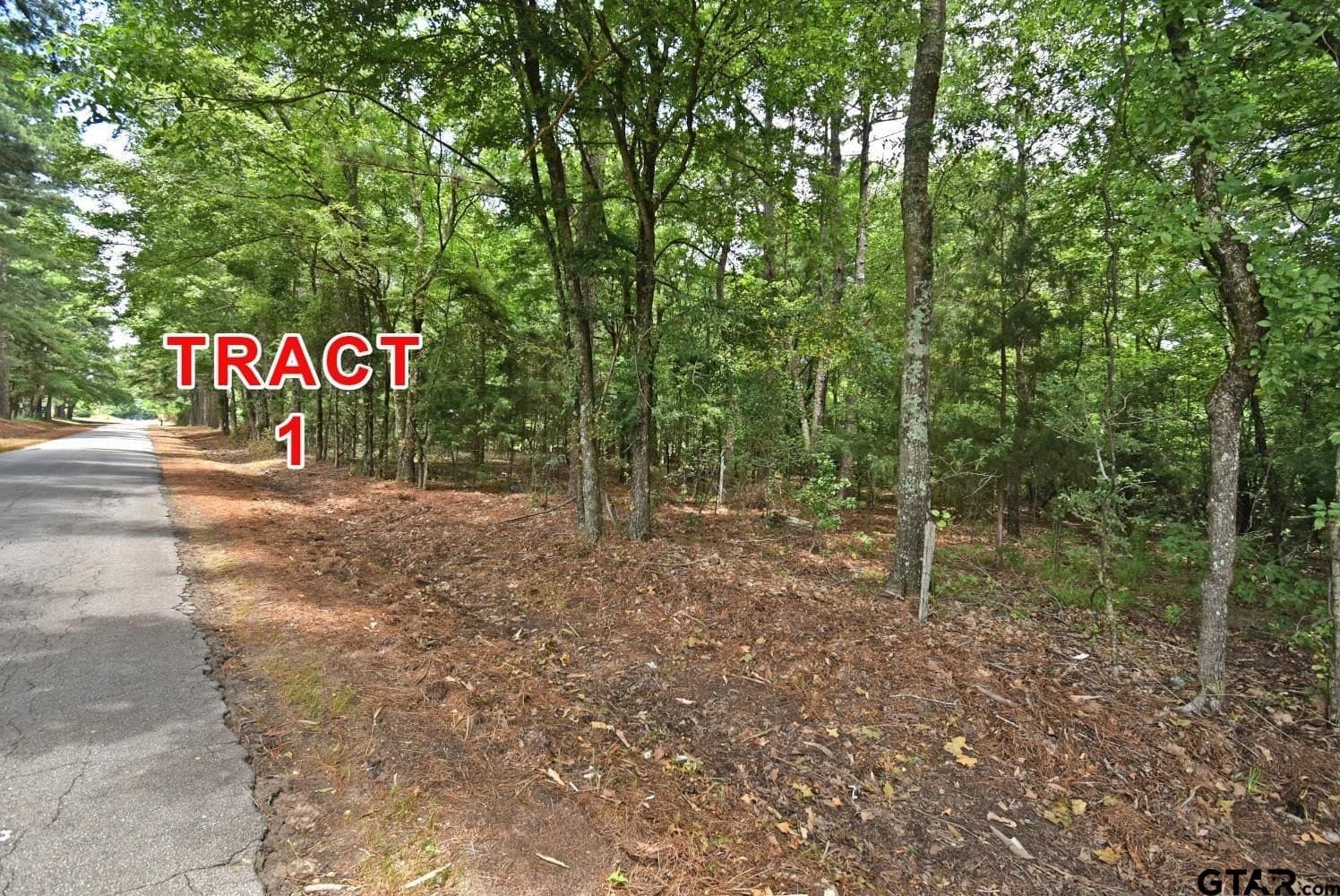 7 acres in Red River County - photo 2