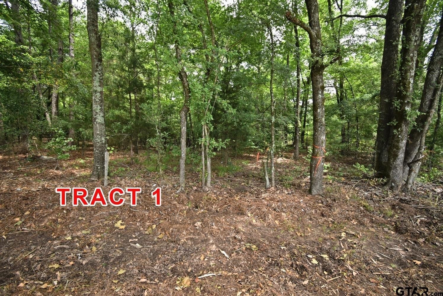 7 acres in Red River County - photo 3