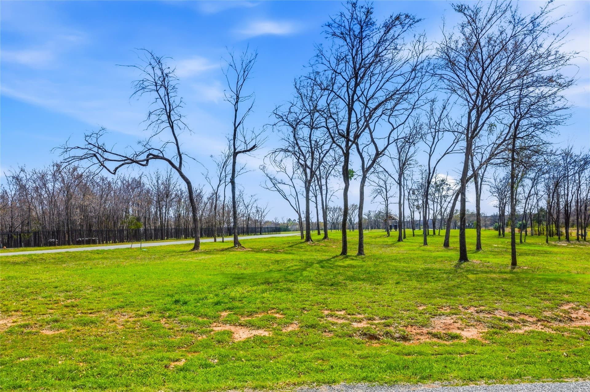 1 acres in Grayson County - photo 11