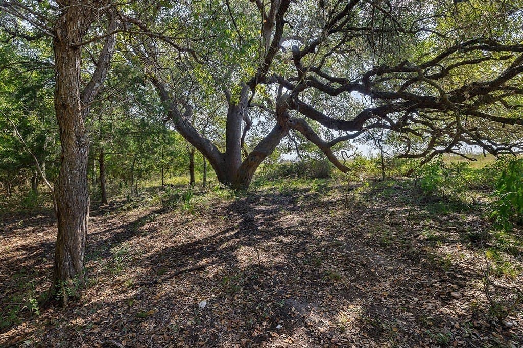20 acres in Fayette County