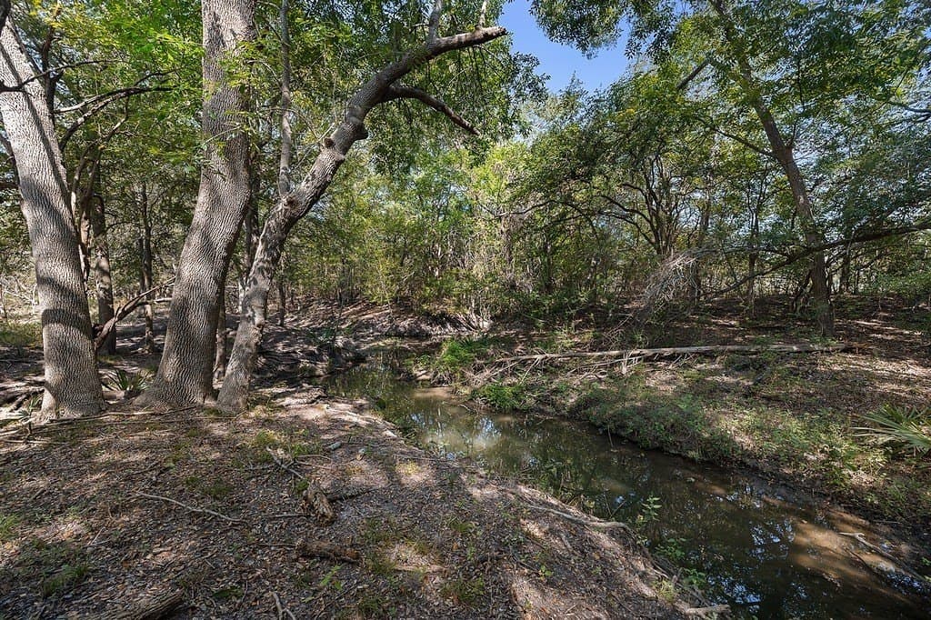 20 acres in Fayette County - photo 5