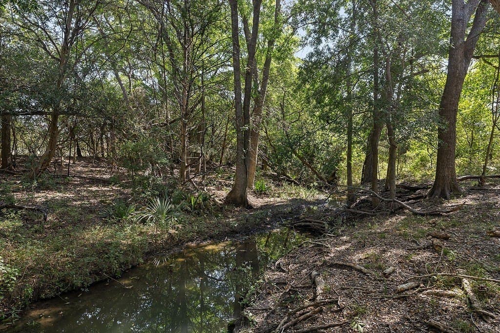 20 acres in Fayette County - photo 6