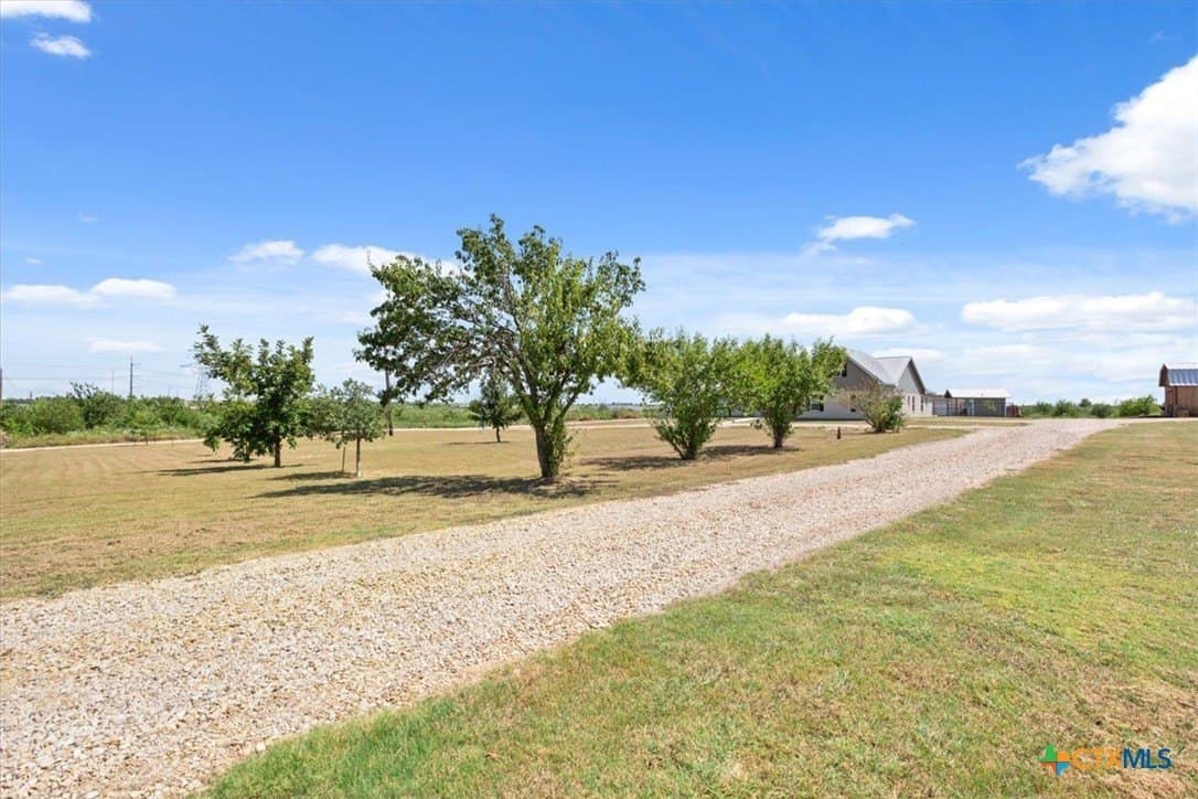 50 acres in Bell County - photo 33