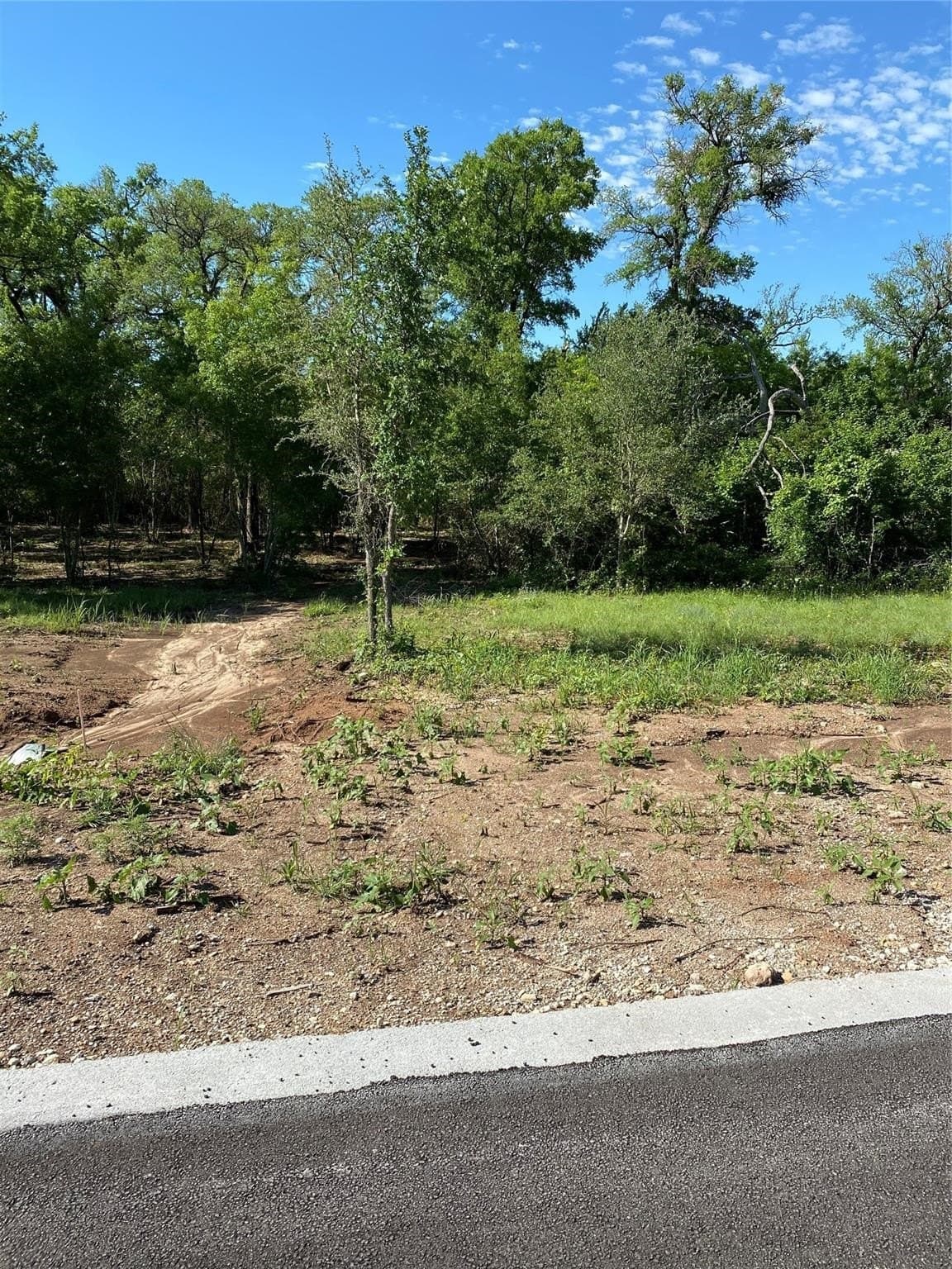 0.31 acres in Johnson County gallery image 4