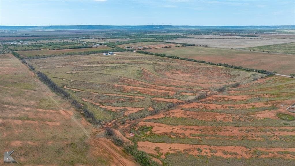 10 acres in Taylor County gallery image 3