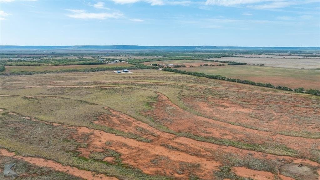 10 acres in Taylor County gallery image 2