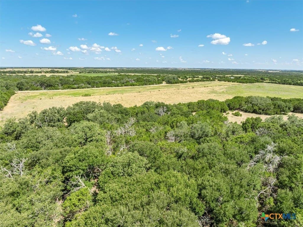 81.85 acres in Coryell County - photo 38