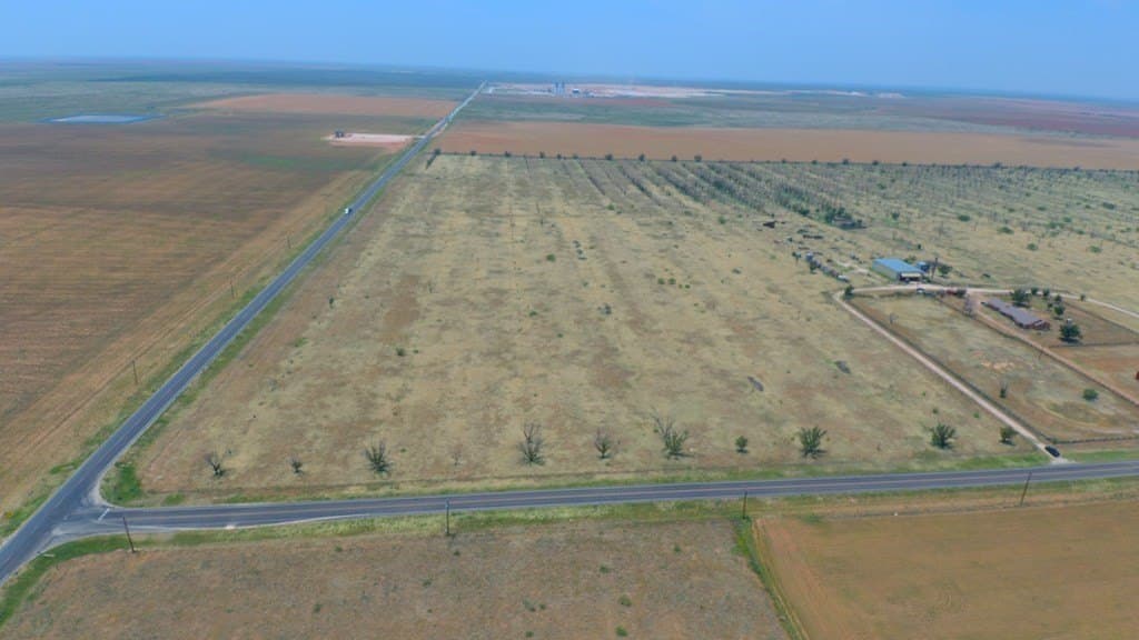 25 acres in Dawson County gallery image 3