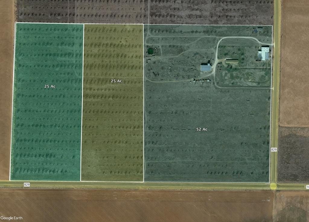 25 acres in Dawson County