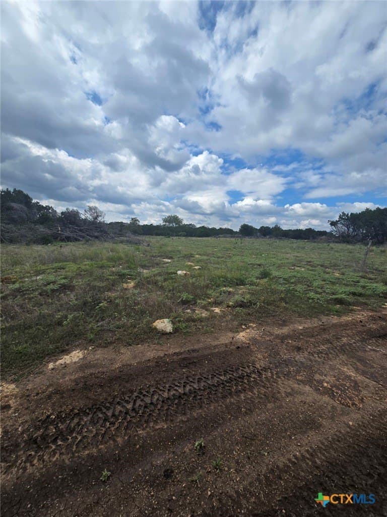 25 acres in Burnet County - photo 5