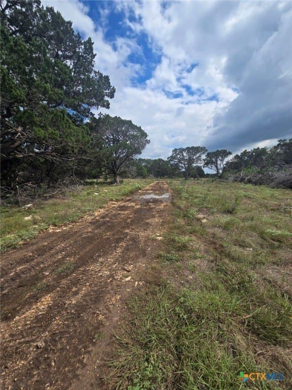 25 acres in Burnet County gallery image 2