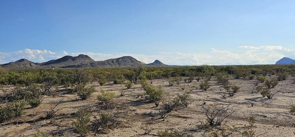 5 acres in Brewster County - photo 32
