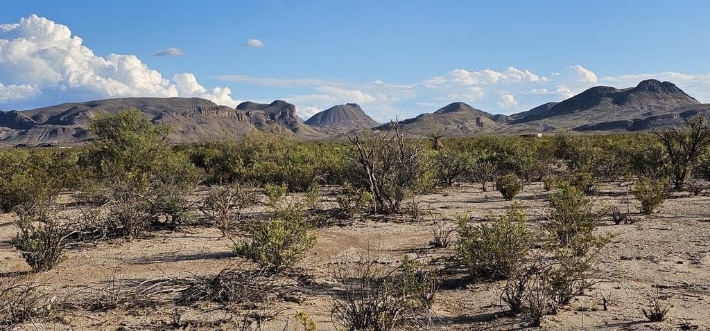 5 acres in Brewster County - photo 2