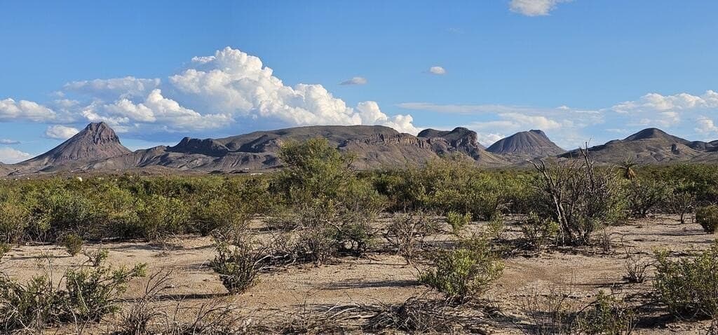 5 acres in Brewster County