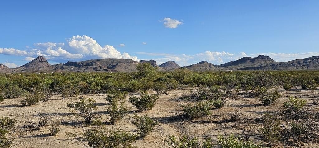 5 acres in Brewster County - photo 5