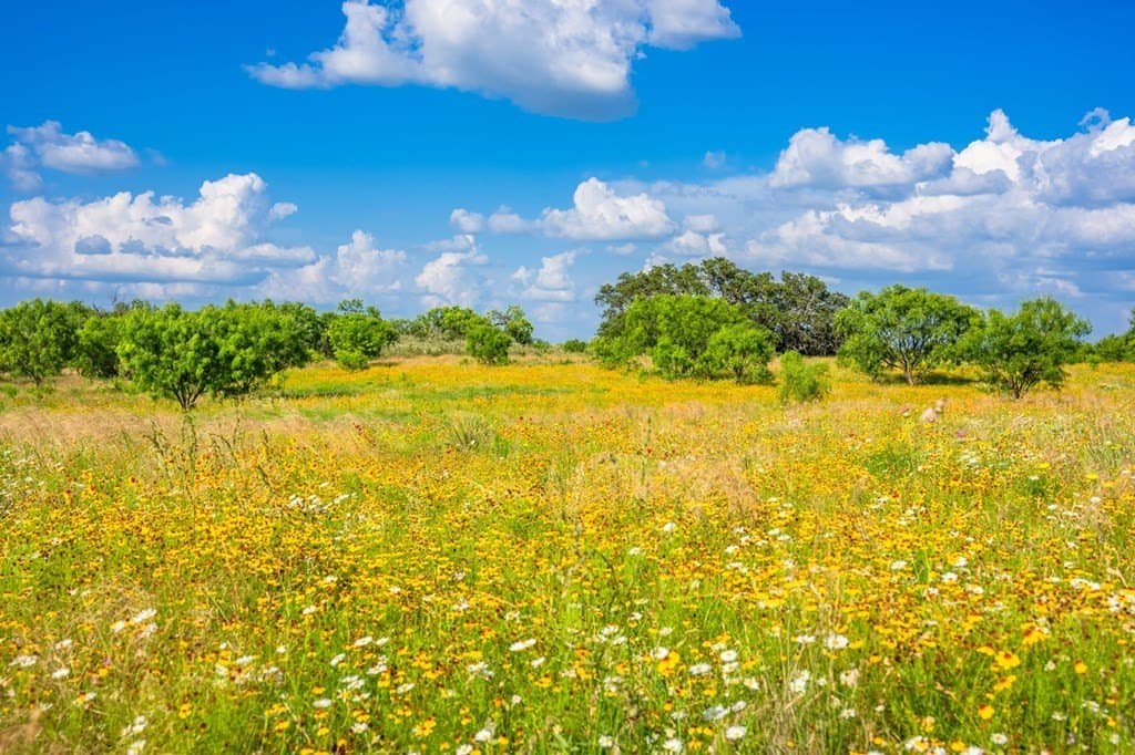 280.3 acres in Llano County - photo 28