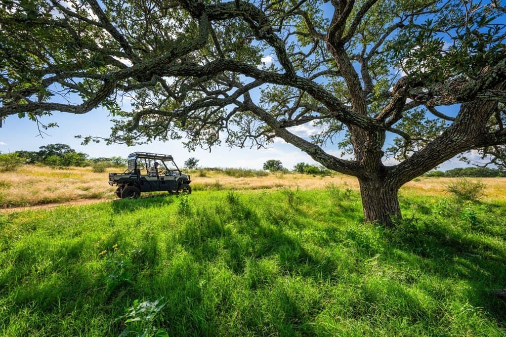 280.3 acres in Llano County - photo 31