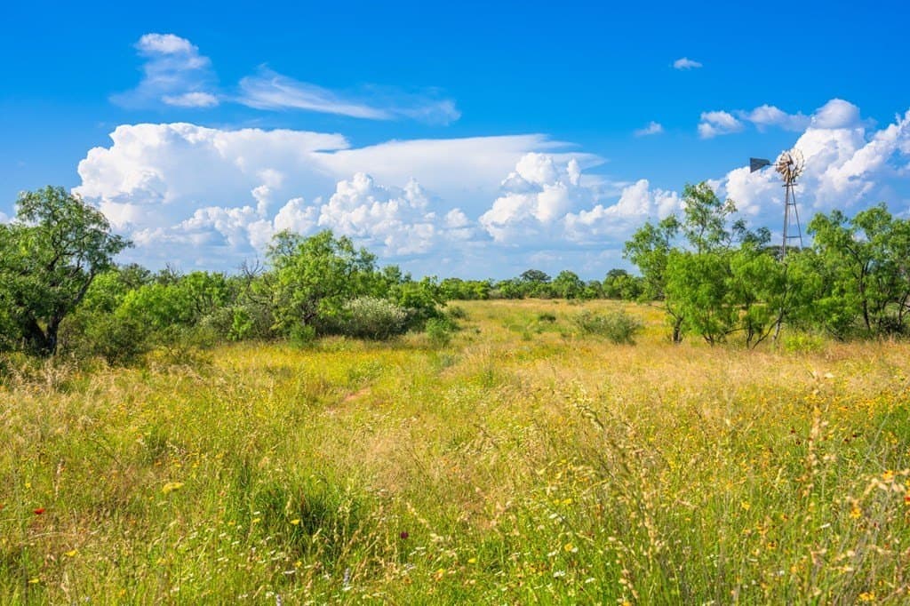 280.3 acres in Llano County featured view
