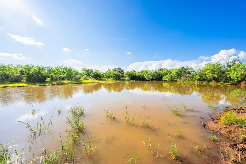 280.3 acres in Llano County - photo 38