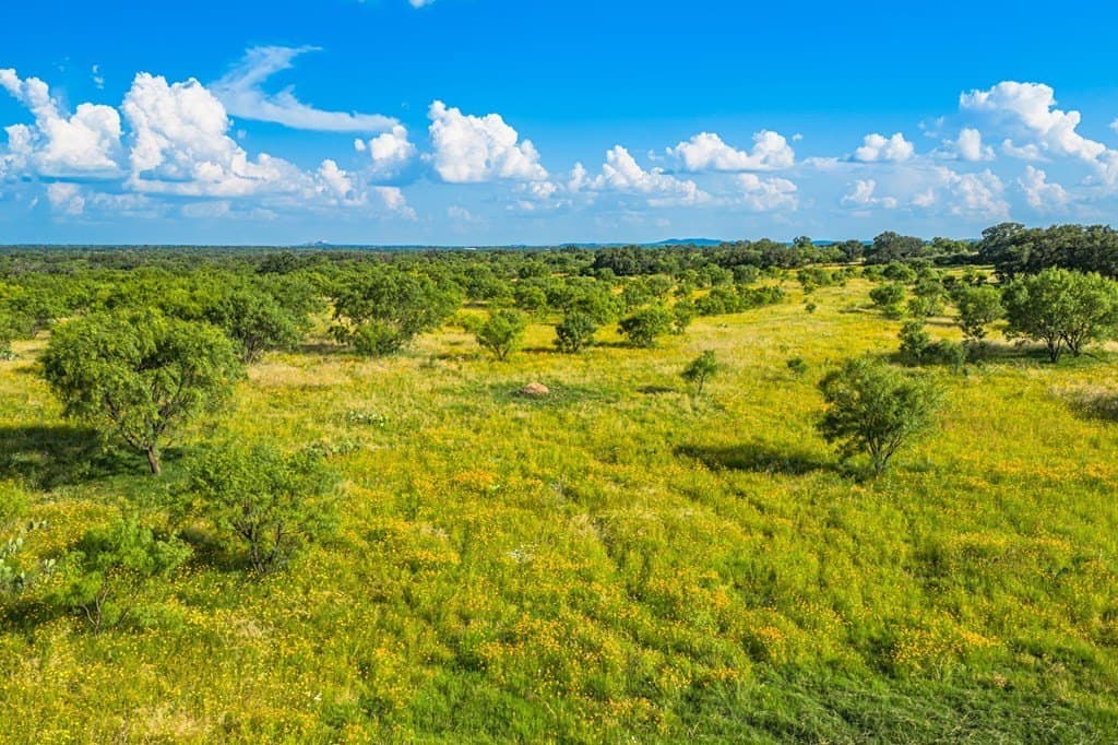 280.3 acres in Llano County - photo 21