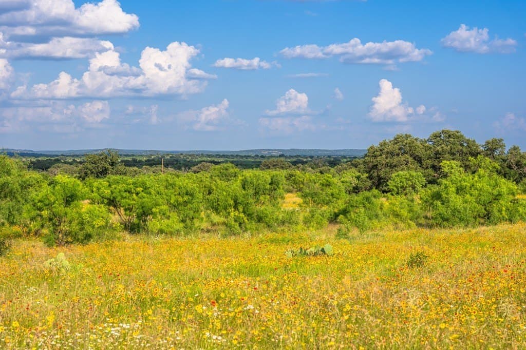 280.3 acres in Llano County - photo 43