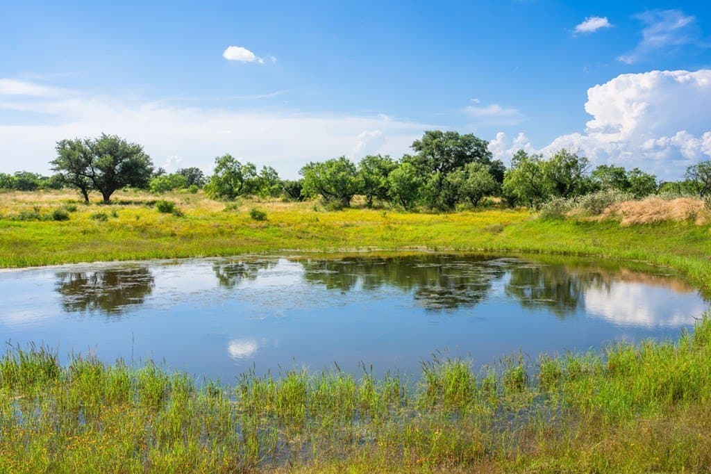 280.3 acres in Llano County - photo 17