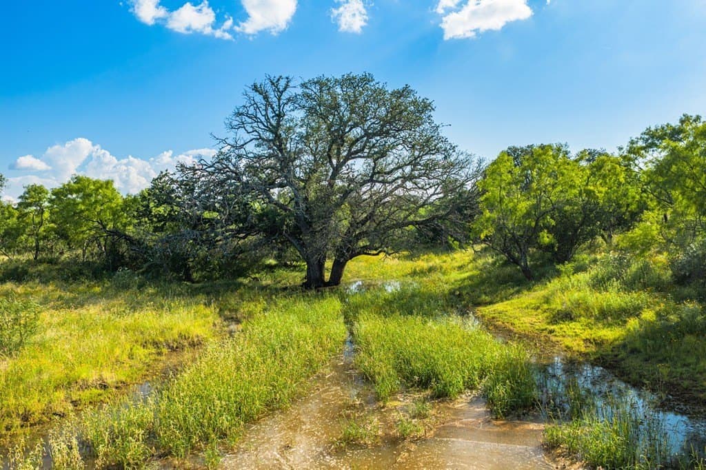 280.3 acres in Llano County - photo 30
