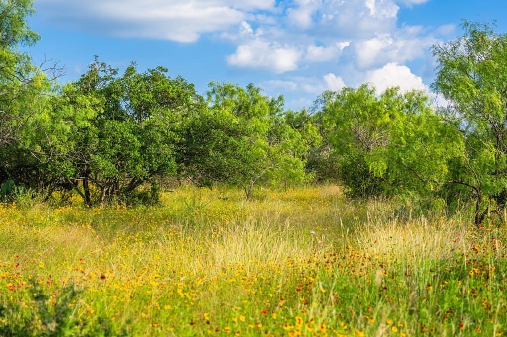 280.3 acres in Llano County - photo 44