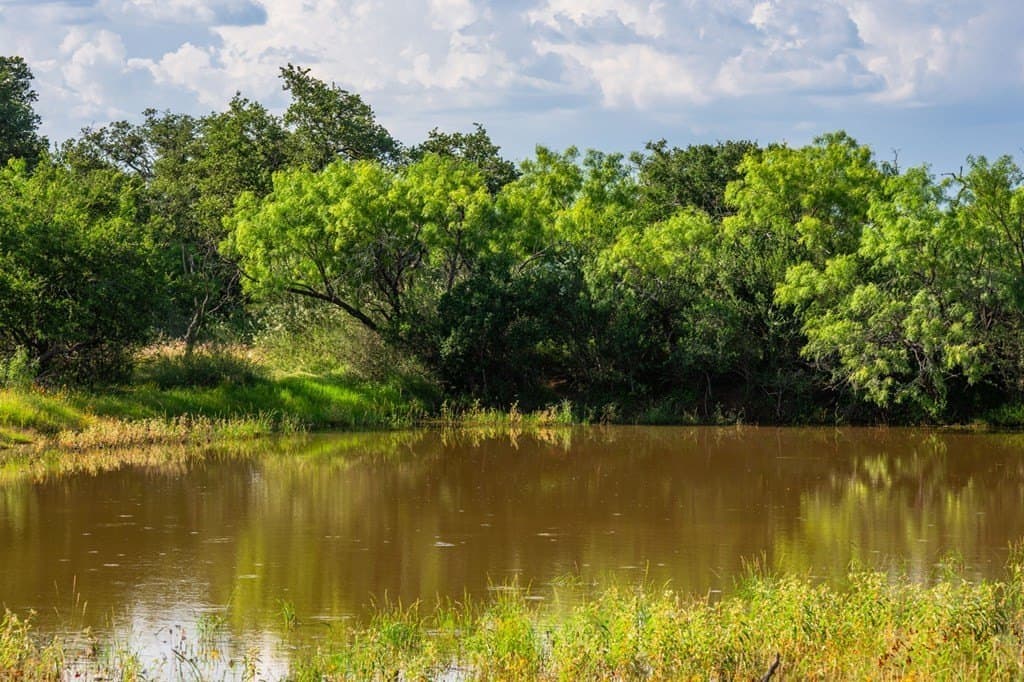 280.3 acres in Llano County - photo 39