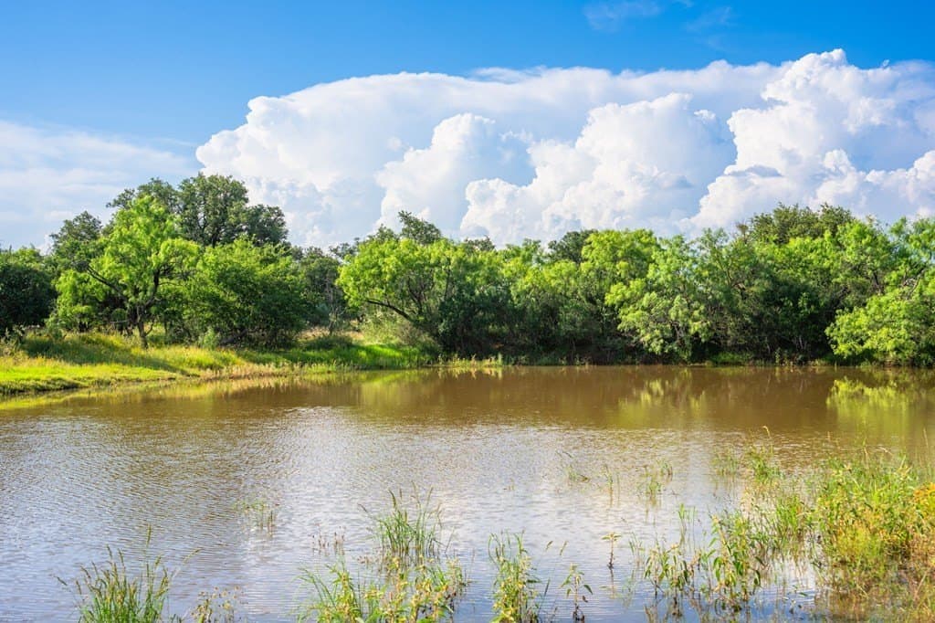 280.3 acres in Llano County - photo 34