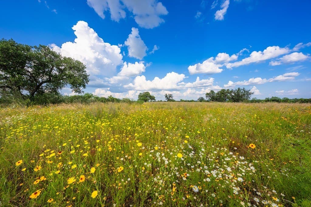 280.3 acres in Llano County - photo 9