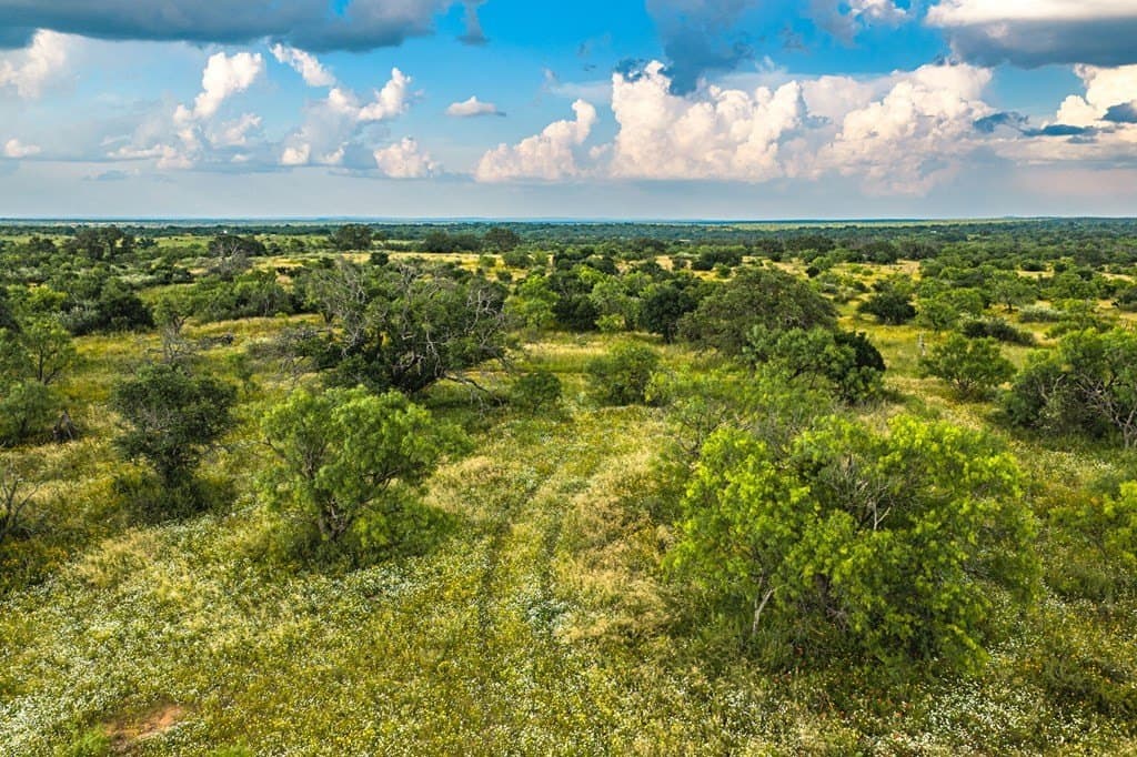 280.3 acres in Llano County gallery image 4