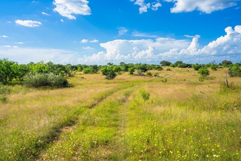 280.3 acres in Llano County - photo 14