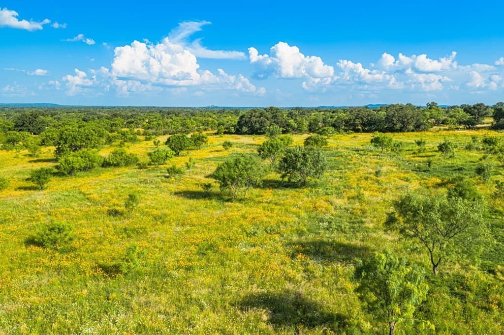 280.3 acres in Llano County gallery image 3