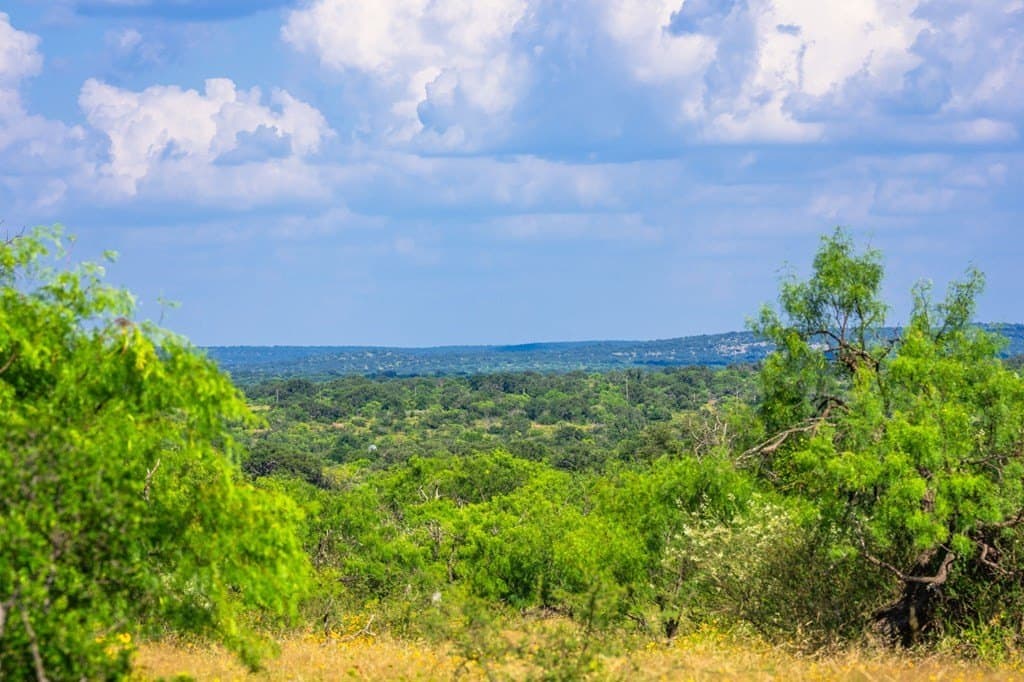 280.3 acres in Llano County - photo 11
